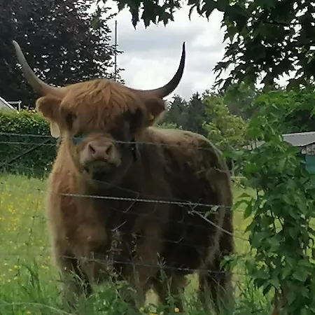 Ferienwohnung-knoofs Schwirzheim